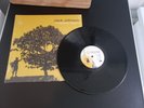 Jack Johnson – In Between Dreams VINYL LP BRUSHFIRE RECORDS