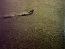 Kayak - Royal Bed Bouncer LP (VG/VG) .