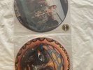 Sublime - Self Titled and 40 oz to Freedom LIMITED EDITION PICTURE DISC RECORDS