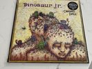 Dinosaur Jr Chocomel Daze Vinyl LP 12” Record Store Day RSD 2012 Live Album Mint
