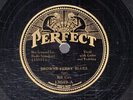 134g4. Bill Cox - Brown's Ferry Blues & Long Chain Charlie Blues - Perfect 13049