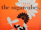 Sugarcubes Birthday Icelandic Uk 12