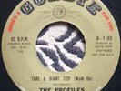 Profiles - Take a giant step - Goldie Original