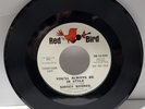 SIDNEY BARNES You'll always be in style  I'm so glad  Red Bird PROMO 1965 R&B