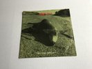 Rare 1992 Grunge 7” 45 *Pearl Jam* Sonic Reducer  Limited to 25,000 copies