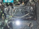 THE DAMNED-The Black Album 2LP Set, BAM  Limited Ed MINT Green Colored VINYL NEW