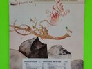 Shakti w John McLaughlin Natural Elements PROMO 1977 JC-34980 VG+ ULTRASONIC CLN
