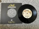 The Sex Pistols God Save the Queen A&M repro Black Vinyl Record Correct Sleeve