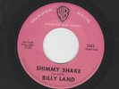 ROCKABILLY 45 -  BILLY LAND  - AKA JOE SOUTH - SHIMMY SHAKE -HEAR - 1959 WB
