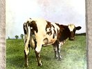 PINK FLOYD ATOM HEART MOTHER 1970 UK 1st PRESS NM SHVL 781 A-1 B-1 NO EMI PROG