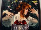 Florence + The Machine  Lungs  Signed Vinyl LP  Record