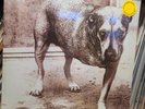 Alice in Chains Self Titled Tripod  * YELLOW VINYL * SEALED