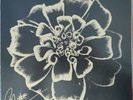 Siouxsie And The Banshees All Souls Black Vinyl LP Sealed. Siouxie Signed Sheet