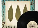 Limited Edition Biffy Clyro Similarities Double 12” Vinyl LP Record B-Side Rare