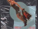 TINA TURNER Break Every Rule 5 INCH VINYL UK Capitol 1987 Limited Edition Shaped
