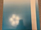 The Field Mice For Keeps vinyl lp