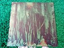 The Promise Ring-Wood/Water 10