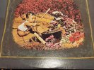 Meat Puppets (1982)Self-titled LP First cut Near Mint condition
