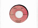 SAM BRAMWELL Ruling Time WAIT-A-BIT RARE 1976 REGGAE 45 King Tubby
