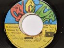 1976 Roots Reggae - Who Have Eyes To See - ERROL HOLT - Cry Tuff  7
