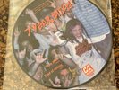 7 Year Bitch Chow Down 10” Vinyl Record 90s Seattle Punk
