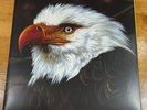 Mogwai - The Hawk is Howling (2008) 12” Double Vinyl LP FIRST PRESSING Post Rock