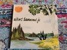 Albert Hammond Jr - Yours to Keep vinyl LP record OOP & RARE  the strokes rsd