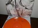 DANCE GAVIN DANCE - Whatever I Say Is Royal Ocean Orange Vinyl LP Alt Cover