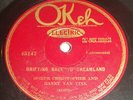Homer Christopher Raney Van Vink Okeh 45097 45147 Lost Mamma Blues Home Town Rag
