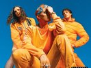 WATERPARKS - Greatest Hits - TANGERINE COLOR LP - Free US Shipping