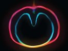 XTC: Wasp Star - Apple Venus Volume 2 (200g) -   - (Vinyl / Rock (Vinyl))