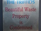 The Triffids – Beautiful Waste, 7