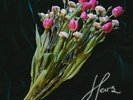 Invitation To Hers