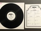 FALCO/RAMONES/RANK+FILE Radio Free America #12 RARE 1983 LP Music+Interviews