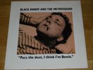 BLACK RANDY & THE METROSQUAD - PASS THE DUST, I THINK I'M BOWIE - EXCELLENT
