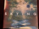 Skying by The Horrors (Record, 2011) SPECIAL EDITION DOUBLE LP - SEALED