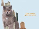 The Brian Jonestown Massacre Fire Doesn't Grow On Trees  (Vinyl)  12