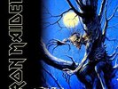 Iron Maiden - Fear Of The Dark - New Vinyl Record - X23A