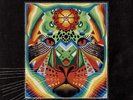 Adrian Quesada - Jaguar Sound LP NEW Colored Vinyl Black Pumas
