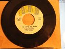 SKYLINERS, THE---SINCE I DON'T HAVE YOU (1959)