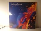 HOTHOUSE FLOWERS SONGS FROM THE RAIN UK 1993 LP VINYL RECORD