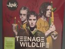 Teenage Wildlife: 25 Years of Ash by Ash double LP - SIGNED + Sealed