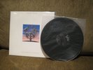 TALK TALK - LAUGHING STOCK - VERY RARE  1ST EDITION 1991 - NR.MINT - SUPERB.
