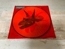 Alice In Chains ‎The Devil Put Dinosaurs Here 2 x vinyl LP Picture Disc CANTRELL