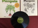 Mort Garson - Mother Earth's Plantasia LP & Booklet - Homewood, H-101 - EX /VG+