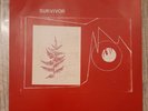Pink Floyd Survivor Vinyl Lp Record