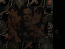THE ROLLING STONES - The Real Alternate Steel Wheels + Box mit 5 LP & 3 CD