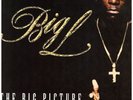 Big L - The Big Picture (1974 - 1999) '00 2xLP US ORG EX+/EX