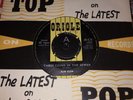 ALAN KLEIN  JOE MEEK 7”  RARE ORIOLE DEMO 45  N-M *THREE COINS IN THE SEWER ? *