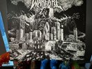 INSECT WARFARE - WORLD EXTERMINATION 12” LP WHITE & BLACK SPLATTER LTD TO 500